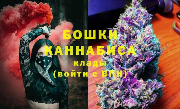 индика Гусь-Хрустальный