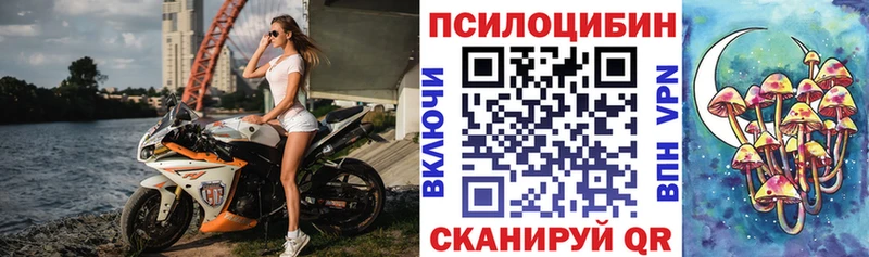 цена наркотик  Адыгейск  Псилоцибиновые грибы Cubensis 